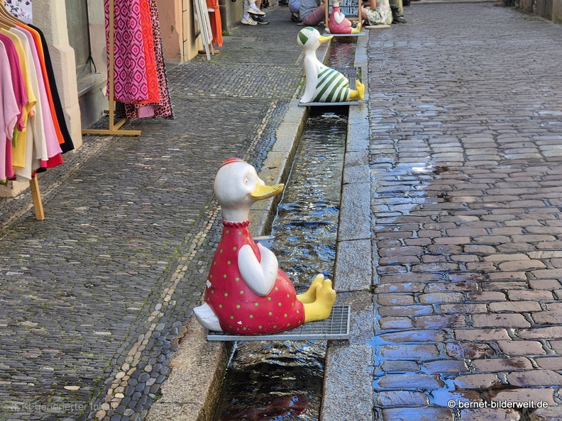 25-08-07-freiburg--baechle-010.JPG