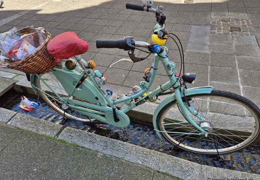 25-08-07-freiburg--baechle-014