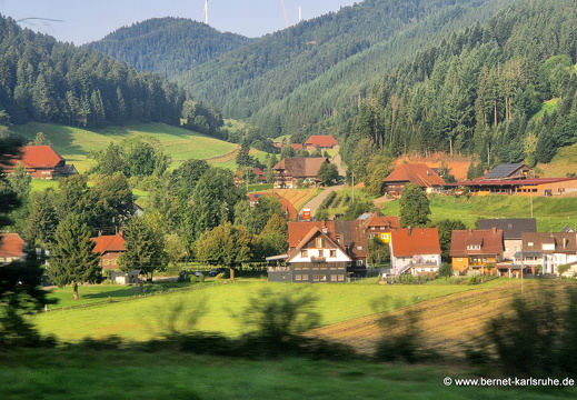 25-08-13-bahnfahrt-schwarzwald-002