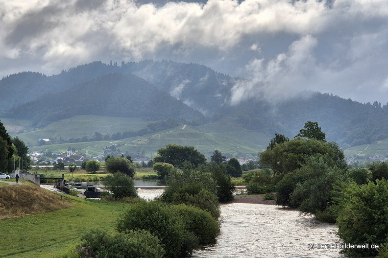 25-08-03-am grossendeich-006.jpg