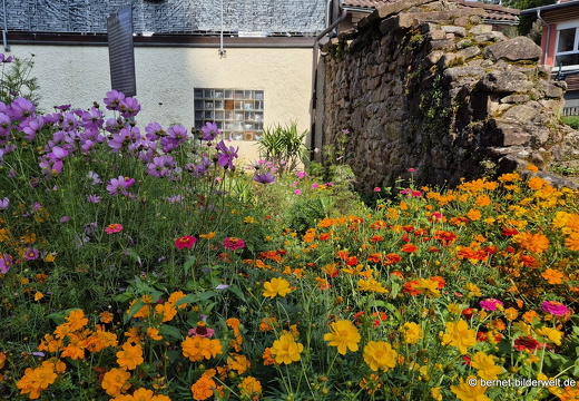 25-08-22-alpirsbach-040