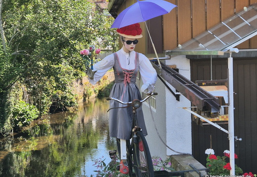 25-08-22-alpirsbach-099