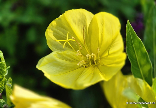 25-08-27-karlsruhe-stadtgarten-zoo-088
