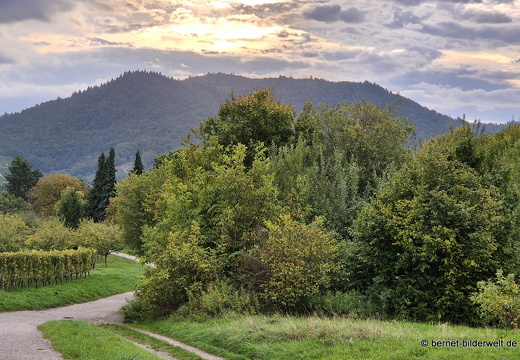 25-09-21-lindenhoehe-