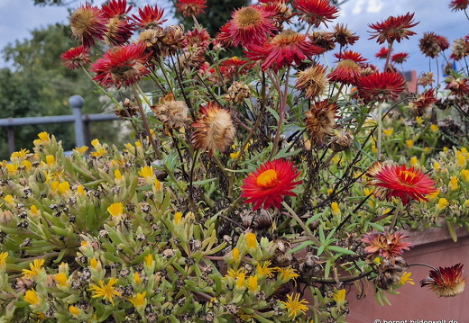 25-09-21-zell-weierbach-002