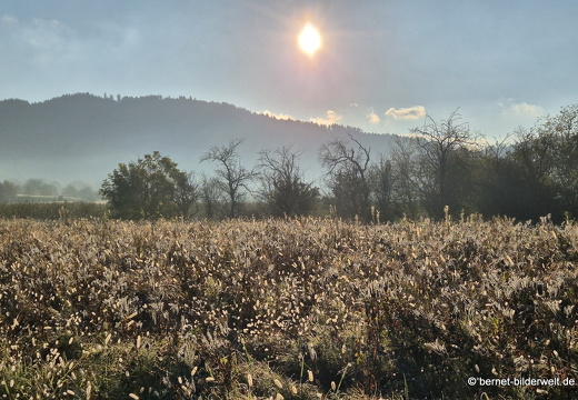 25-10-12-ortenberger strasse-