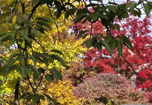 25-10-15-franz-ludwig-mersy-strasse-