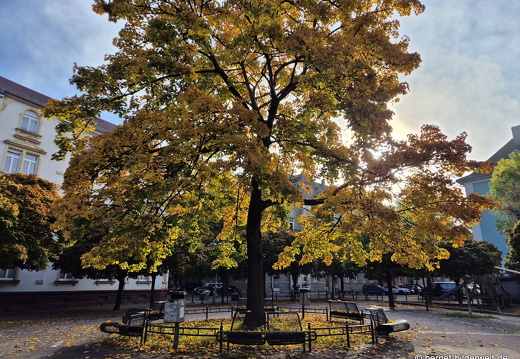 25-10-16-schillerplatz-