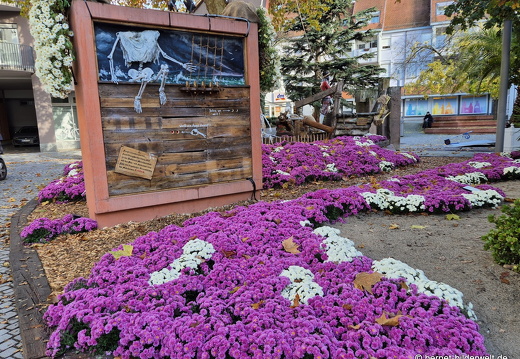 25-10-30-lahr-chrysanthema-015