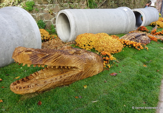 25-10-30-lahr-chrysanthema-024