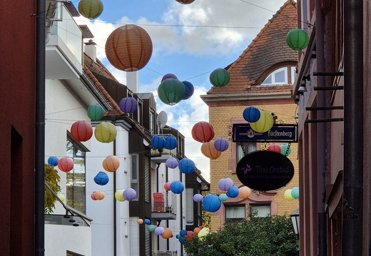 25-10-30-lahr-chrysanthema-047