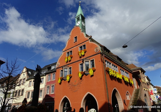 25-10-30-lahr-chrysanthema-058