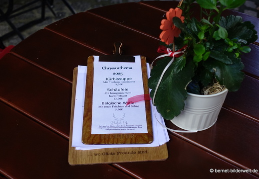 25-10-30-lahr-chrysanthema-053