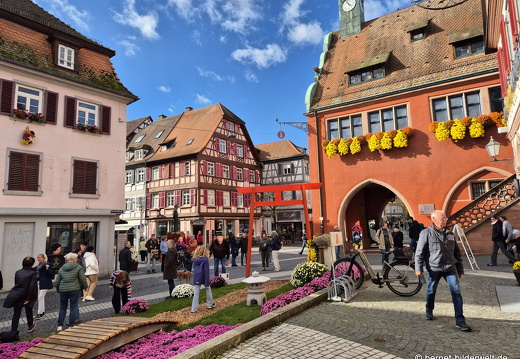 25-10-30-lahr-chrysanthema-061