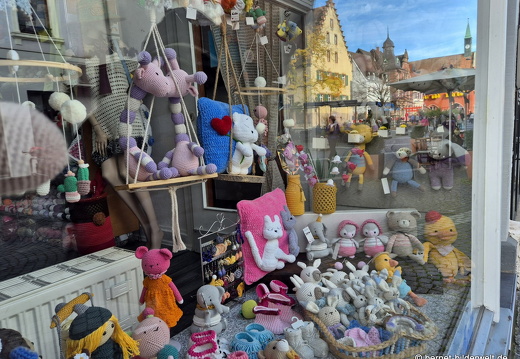 25-10-30-lahr-chrysanthema-070