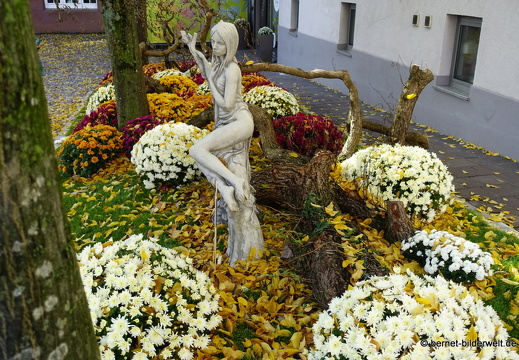 25-10-30-lahr-chrysanthema-080
