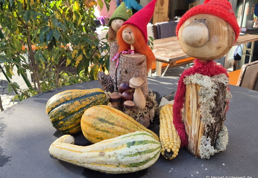 25-10-30-lahr-chrysanthema-088