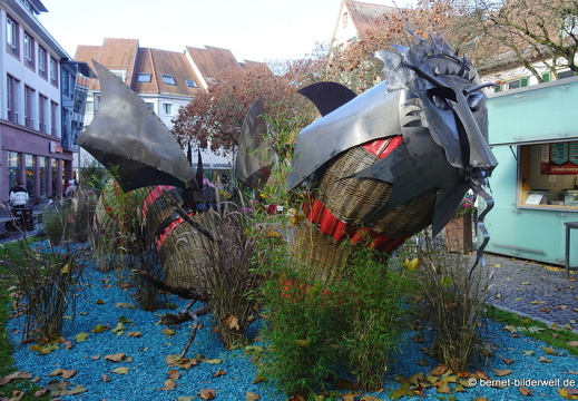 25-10-30-lahr-chrysanthema-097