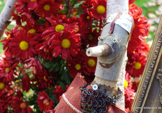 25-10-30-lahr-chrysanthema-103