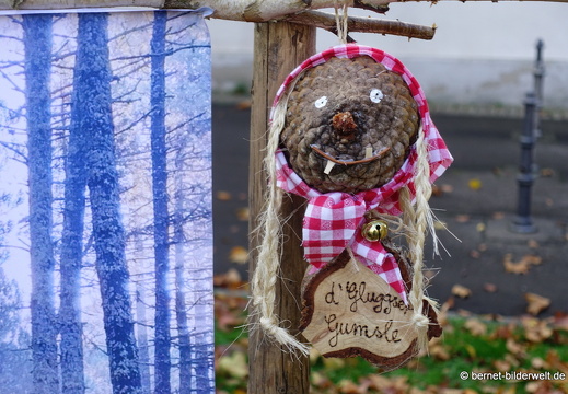 25-10-30-lahr-chrysanthema-108