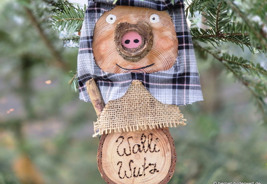 25-10-30-lahr-chrysanthema-111