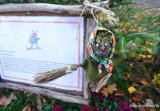 25-10-30-lahr-chrysanthema-112