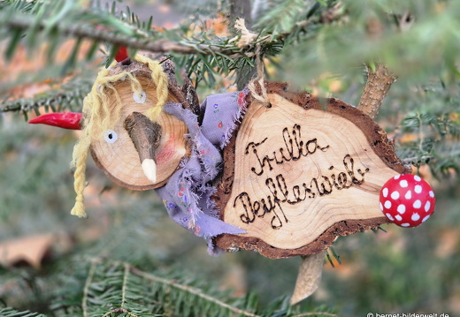 25-10-30-lahr-chrysanthema-113