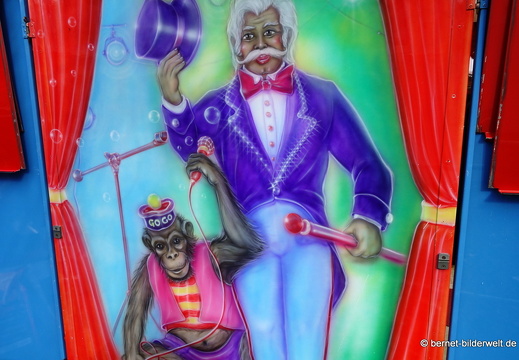 25-10-30-lahr-chrysanthema-122