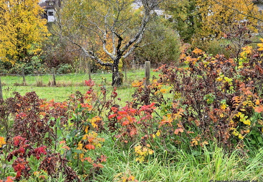 25-11-01-weingartenstrasse-001