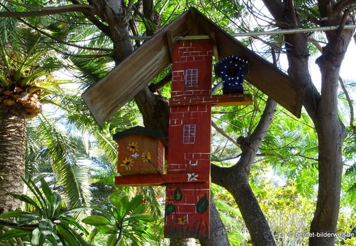 25-12-08-los llanos-adjovimar-garten-013