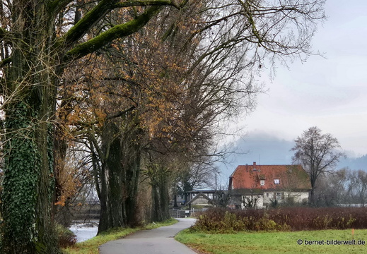 25-11-26-am grossendeich-002