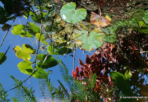 25-12-09-los llanos-adjovimar-garten-018
