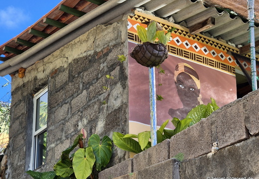 25-12-19-los llanos-wandbild-