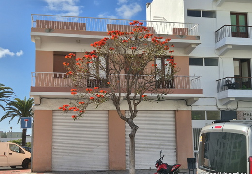 25-12-19-los llanos-008