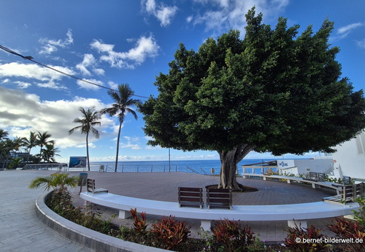 25-12-22-puerto naos-005