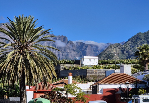 25-12-24-los llanos-las rosas-002