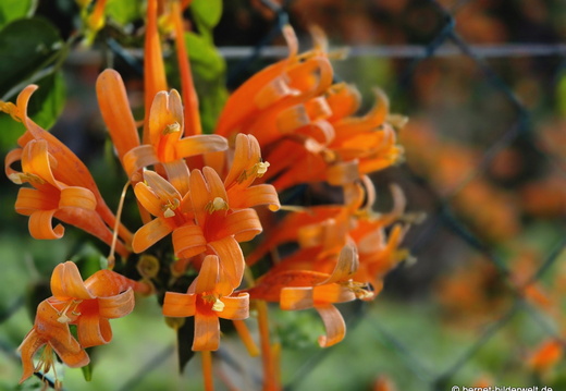 25-12-28-los llanos-017