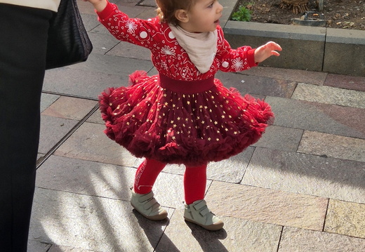 25-12-31-los llanos-silvester-108