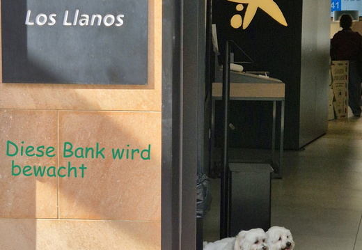 25-12-31-los llanos-silvester-111