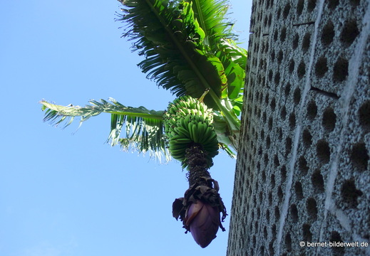 26-01-16-tazacorte-023