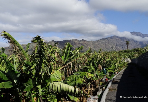 26-01-16-tazacorte-038