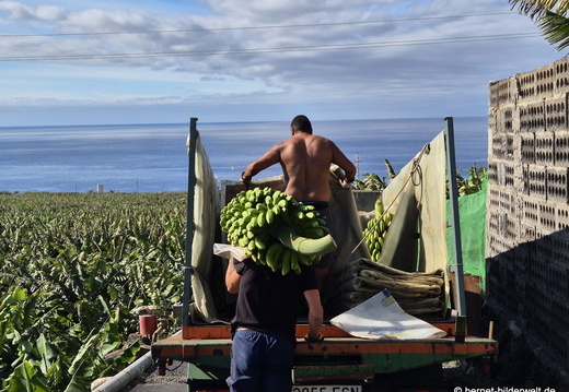 26-01-16-tazacorte-055