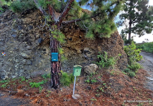 26-01-22-tijarafe-035