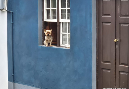 26-01-22-tijarafe-121