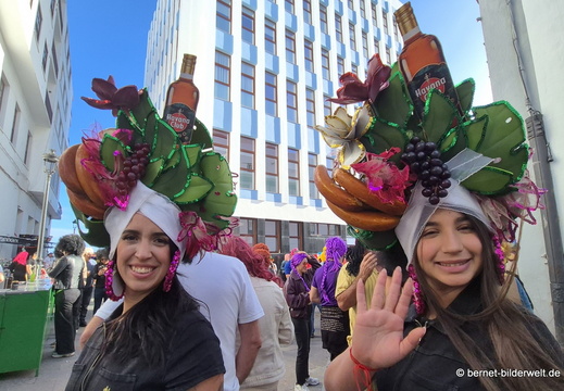 26-02-13-santa cruz-karneval-perueckenfest-peluca-110
