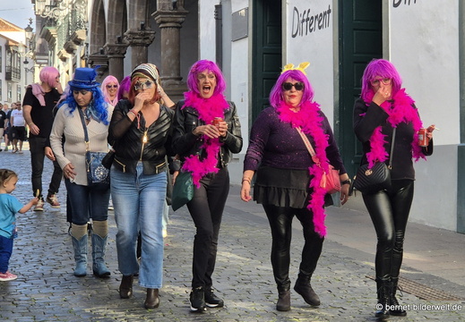 26-02-13-santa cruz-karneval-perueckenfest-peluca-127