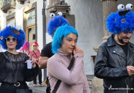 26-02-13-santa cruz-karneval-perueckenfest-peluca-130