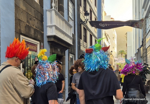 26-02-13-santa cruz-karneval-perueckenfest-peluca-154
