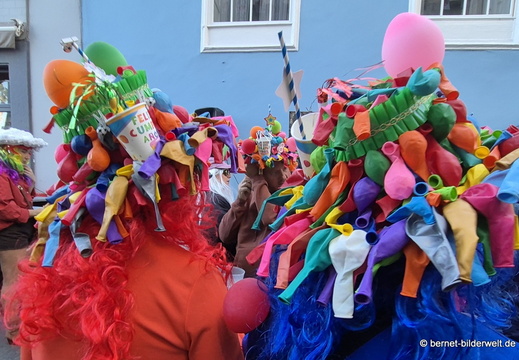 26-02-13-santa cruz-karneval-perueckenfest-peluca-156
