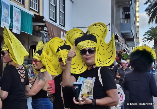 26-02-13-santa cruz-karneval-perueckenfest-peluca-167